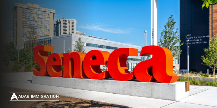 معرفی کالج سنکا | Seneca College