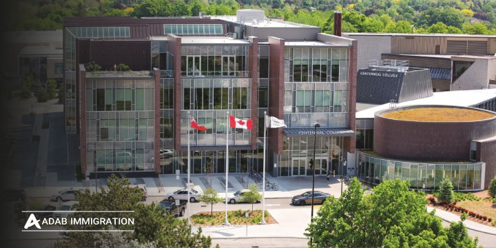 کالج سنتنیال | centennial college