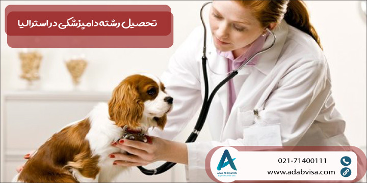 تحصیل رشته دامپزشکی در استرالیا