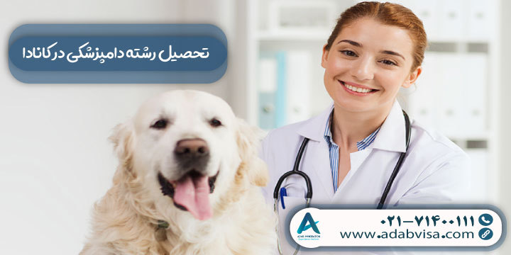 تحصیل رشته دامپزشکی در کانادا