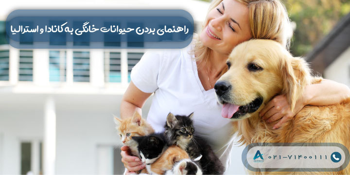 راهنمای بردن حیوانات خانگی به کانادا و استرالیا