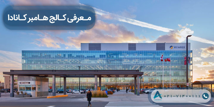 معرفی کالج هامبر کانادا