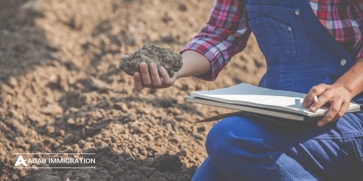 بهترین کشورها برای تحصیل در رشته زمین شناسی