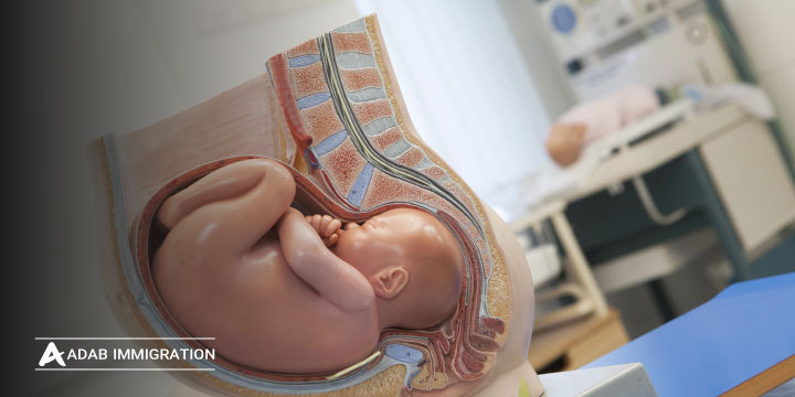 بهترین کشورها برای تحصیل رشته مامایی
