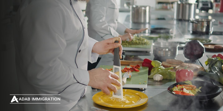 بهترین کشورها برای تحصیل رشته آشپزی