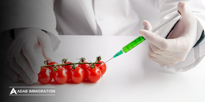 تحصیل رشته صنایع غذایی در استرالیا