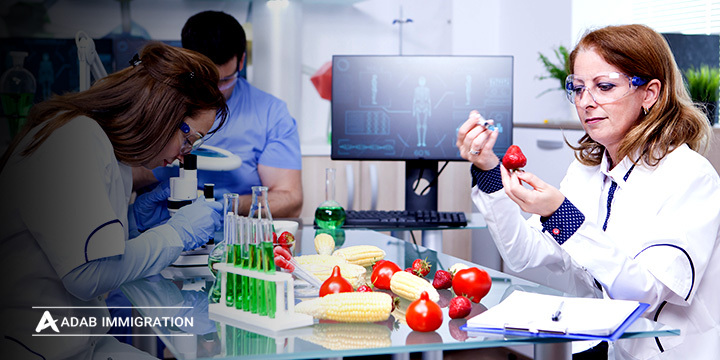 بهترین کشورها برای تحصیل رشته صنایع غذایی