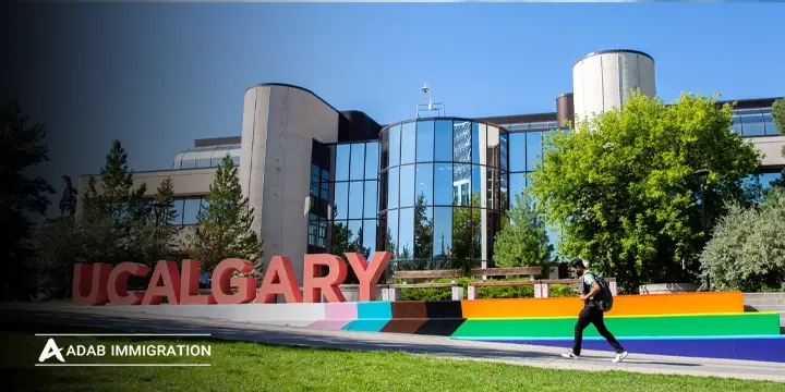 بهترین رشته های دانشگاه کلگری کانادا