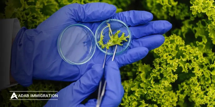 بهترین دانشگاه‌های کانادا برای تحصیل رشته زیست شناسی