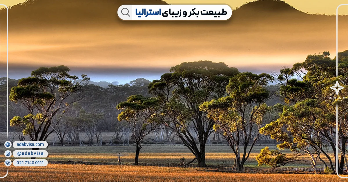 طبیعت بکر و زیبای استرالیا| ادب ویزا